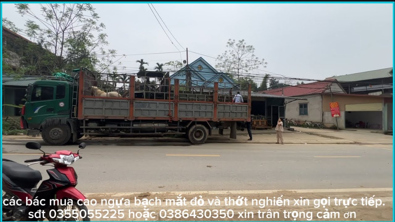 tay lái liều lĩnh nhất tây bắc.nửa đêm bàn giao xe cho anh em trên bản lái lệch suýt toang @GÁIBẢN 