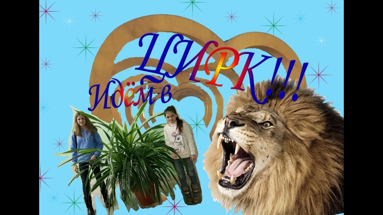 Идём в цирк!Или,что творится  в клетке со львами?!