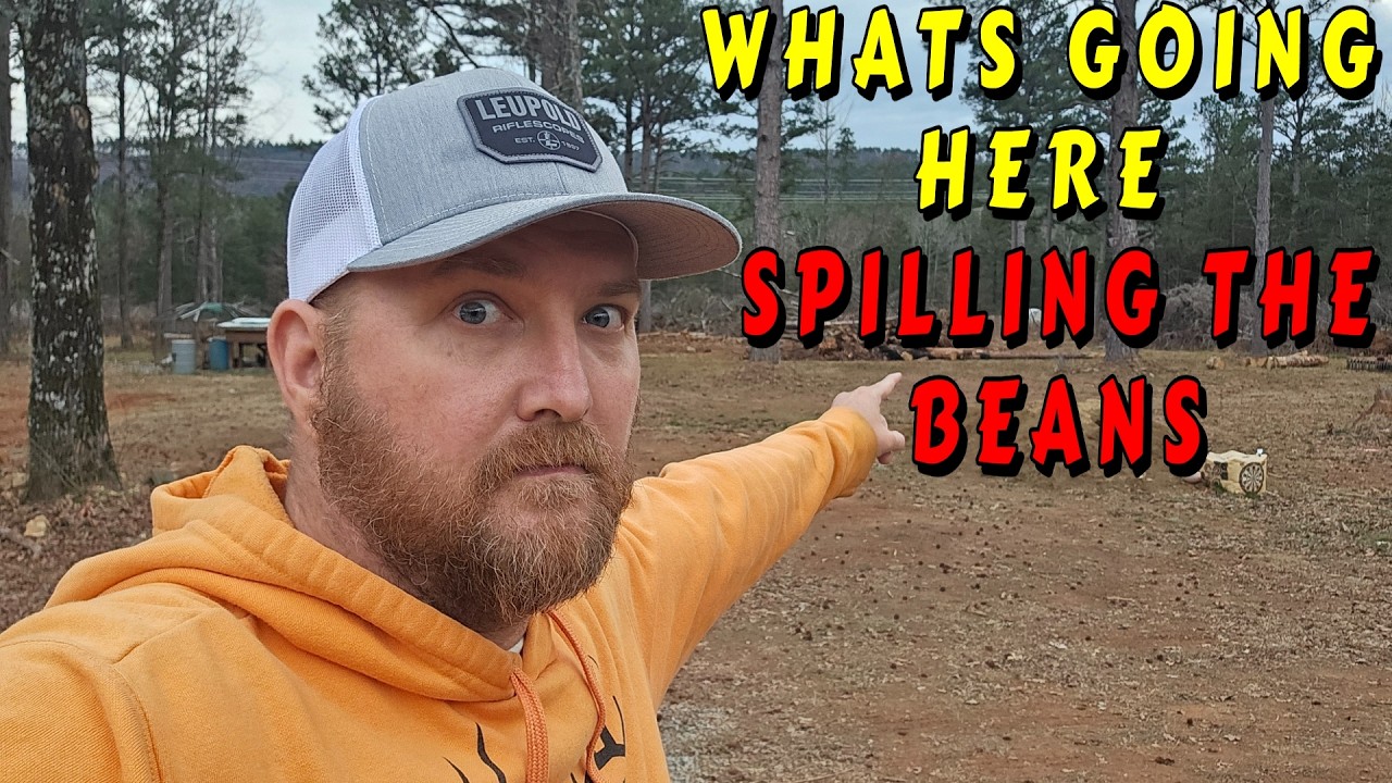 THIS WILL MAKE ALL THE DIFFERENCE ON THE MOUNTAIN |tiny house, homesteading off-grid cabin build DIY