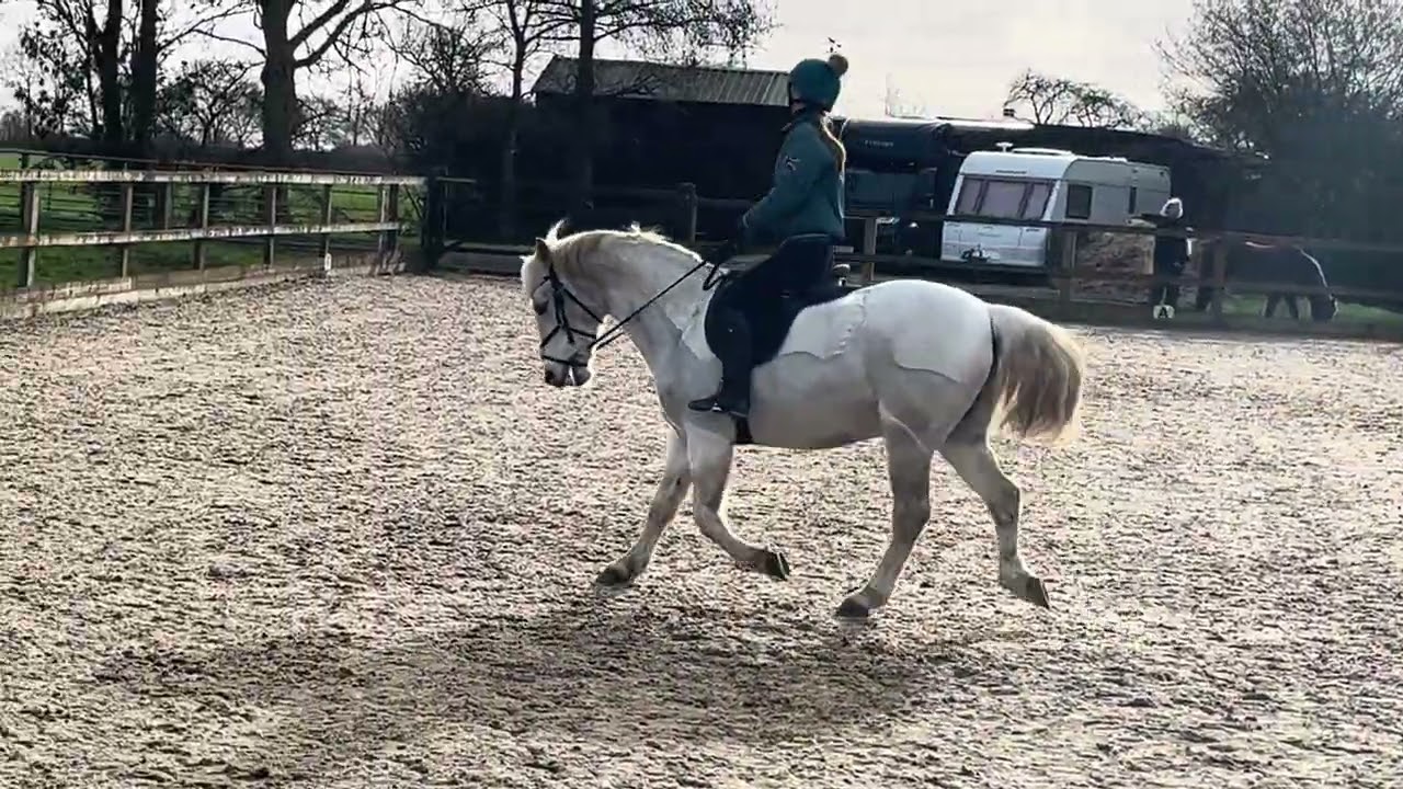 Brooke Sturgeon and Portmore Fiddler BD prelim 1 for The Galloping Numpties