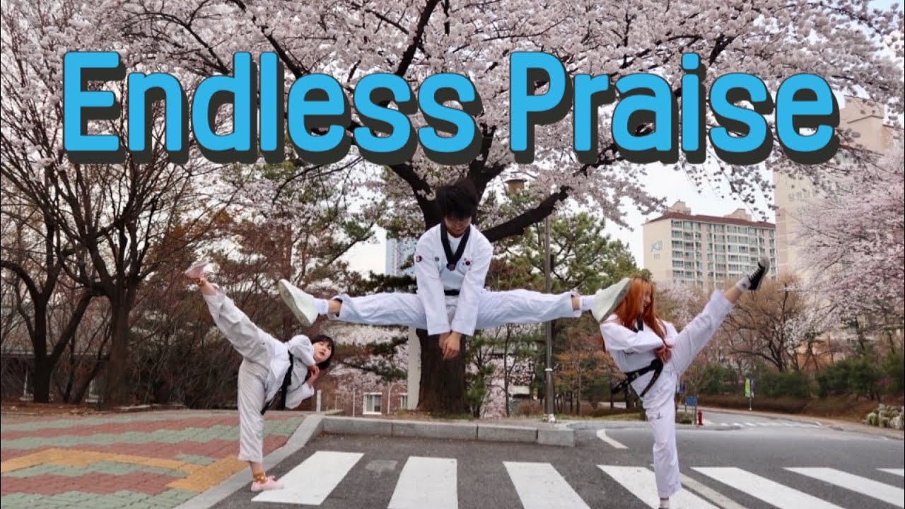Endless Praise-PlanetShakers_태권무(한세대학교)