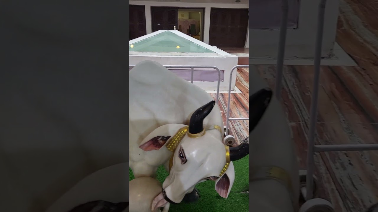 calf drinking milk of mother cow statue. 