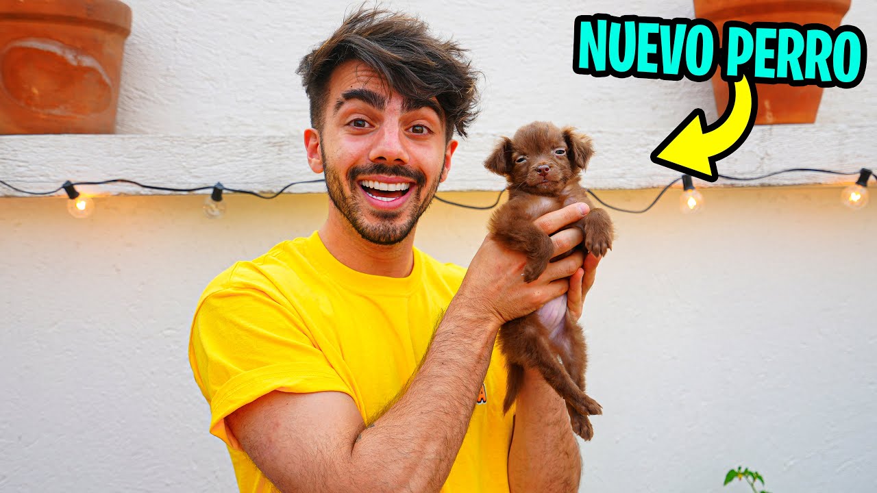 ESTE ES EL NUEVO PERRO DE LA VECIBANDA! *broma*