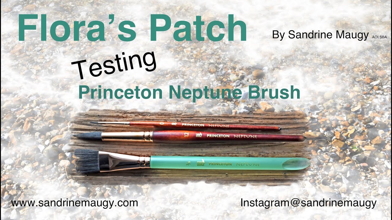 Watercolour Brush Test: Princeton Neptune, review & demo (painting a quince)