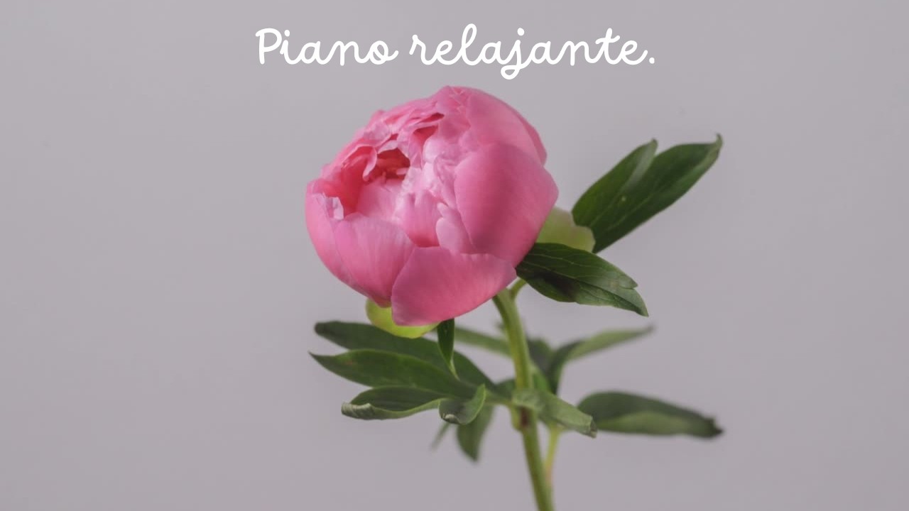 Aumenta tu Concentración - 1.5 horas de  Piano | Boost Your Focus with Beautiful Piano.🎹📚