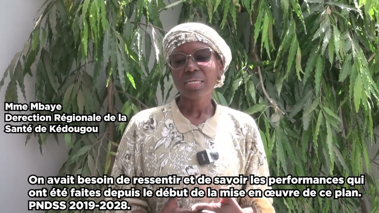 Impressions des acteurs lors de la révision du PNDSS