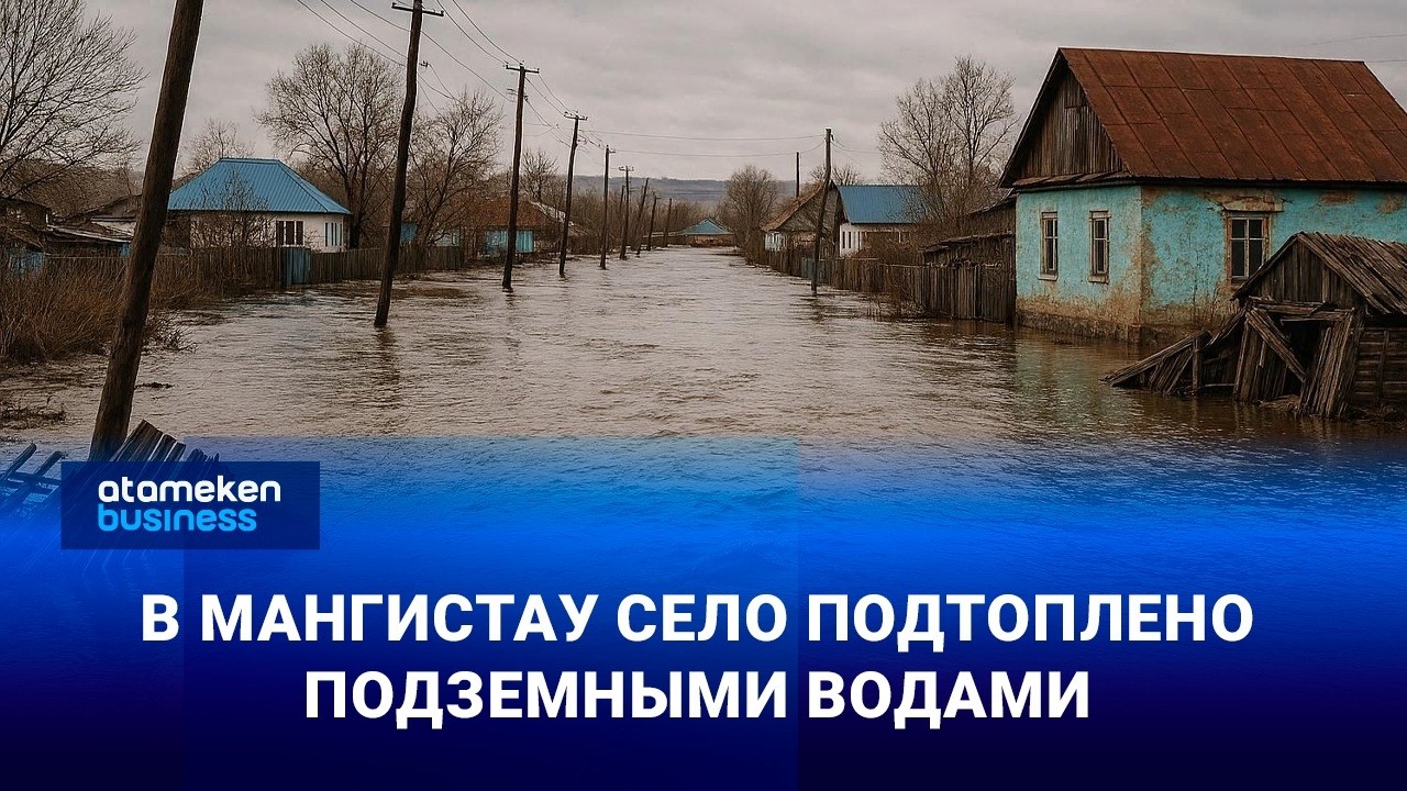 В Мангистау село подтоплено подземными водами