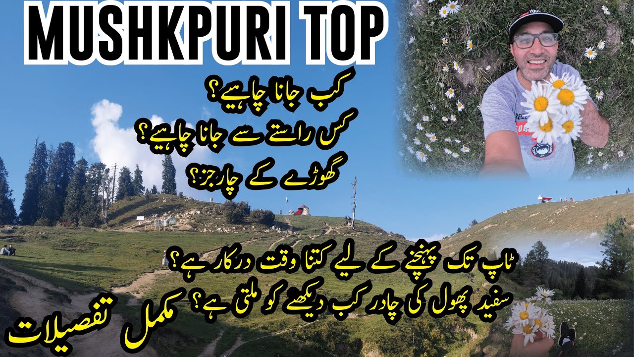 Mushkpuri Top track | Mushkpuri Top Nathiagali | Mushkpuri top location Hike |Mushkpuri Top Weather