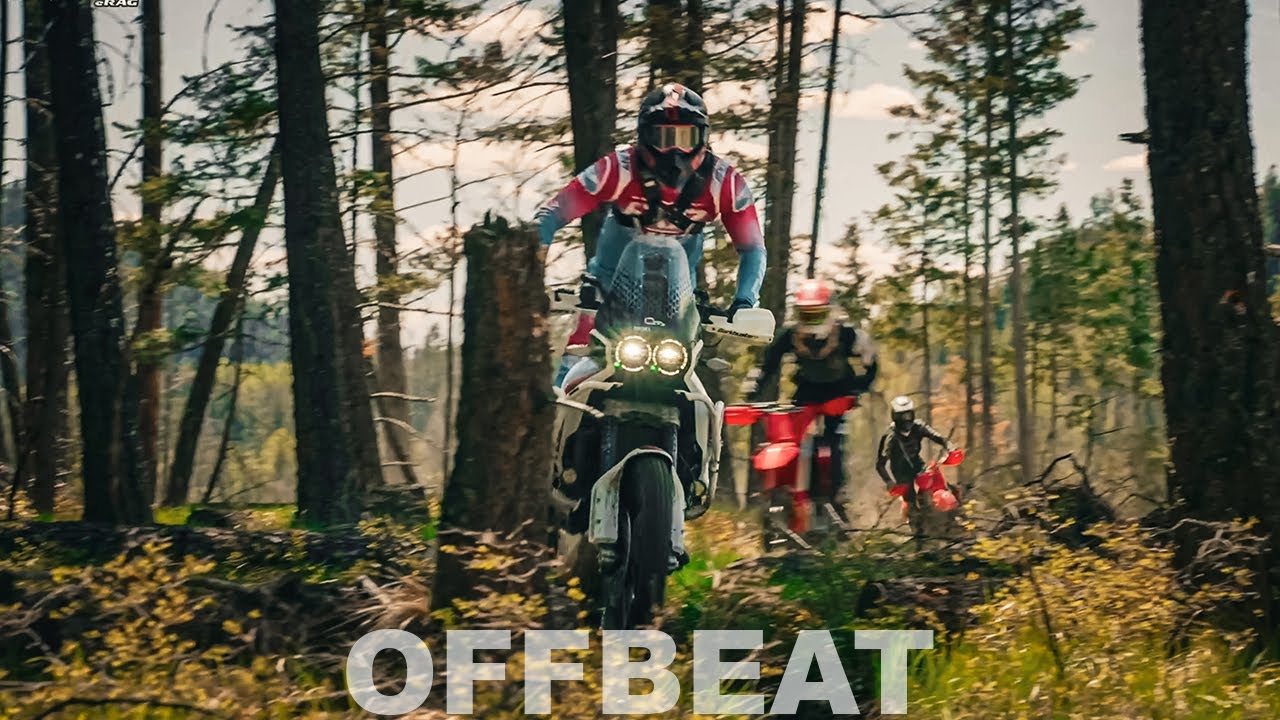 Offbeat - Where a Ducati DesertX Does Not Belong #ducati #desertx #tractionerag #outbackmotortek