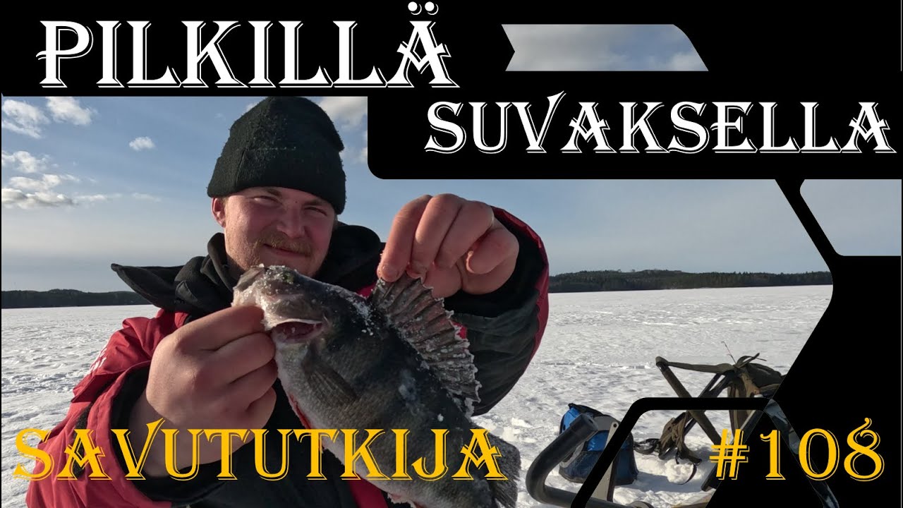 Ahvenen pilkintää Suvaksella