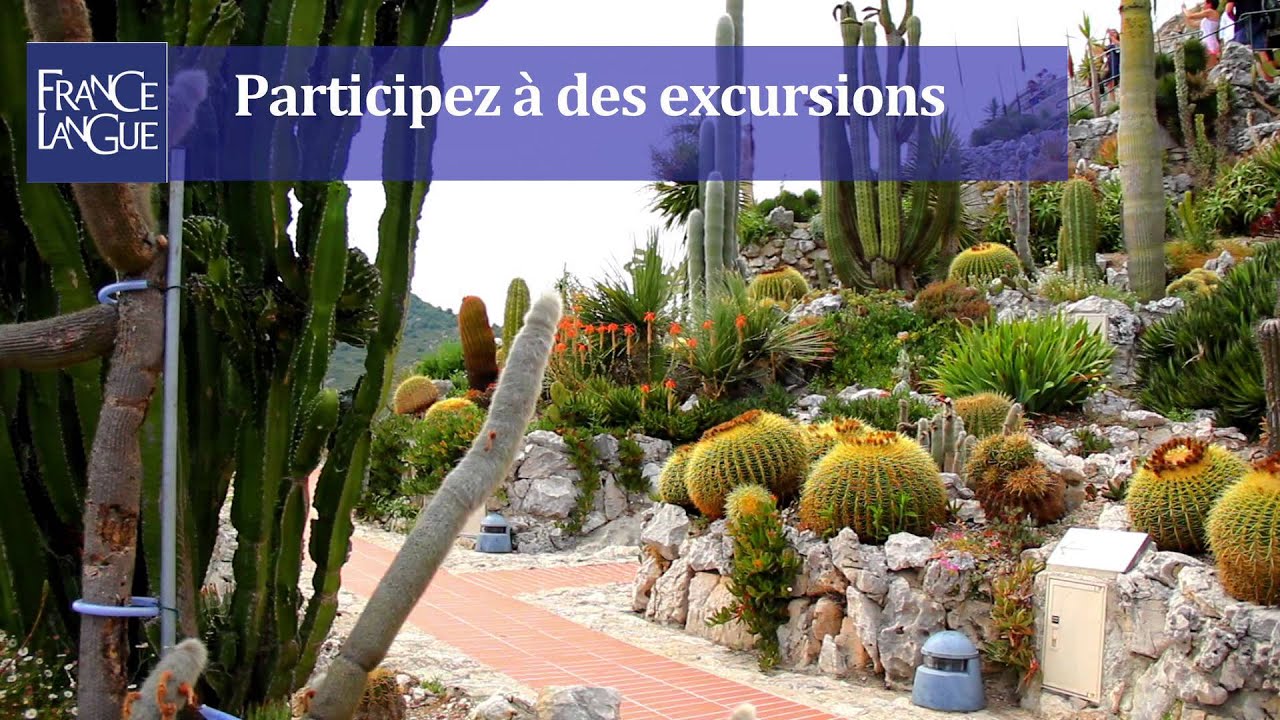 France Langue Nice Promotional Video (Short version)