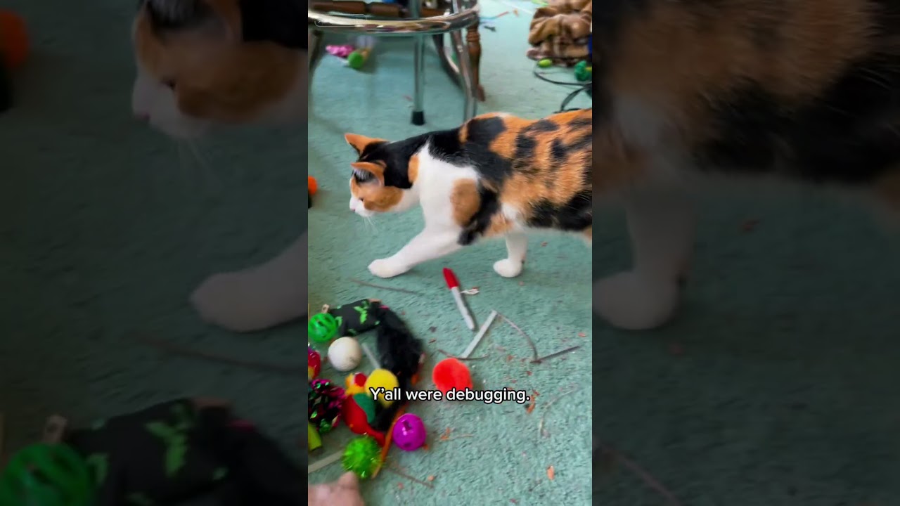 “I ain’t broke just unique.” Elvis & Priscilla drop cat wisdom 🐾🤖