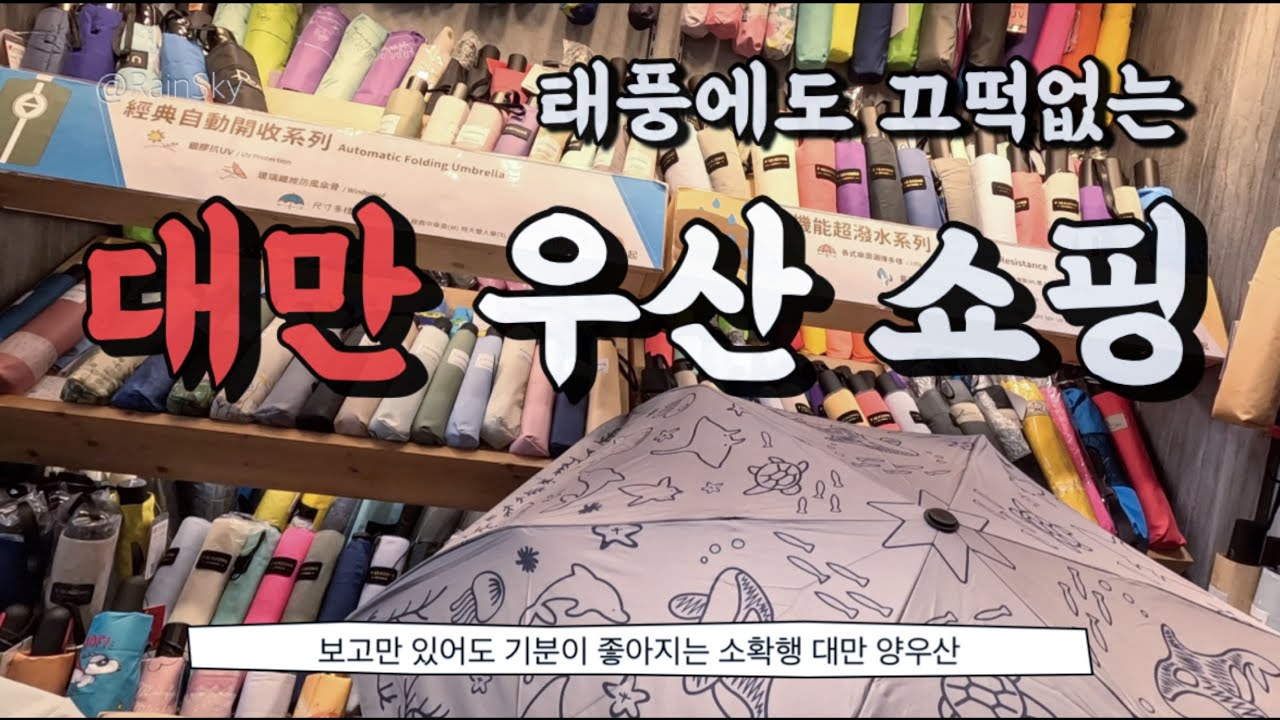 🇹🇼우산 사러 대만여행 가는 사람 나야 나 - 대만(12)