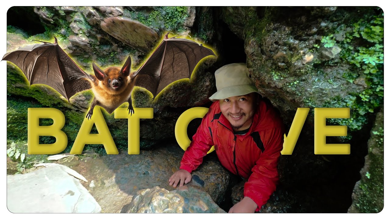 Bat Cave Challenging ll Pokhara ll Vangre Family Travel Volg Ep-10 ll vangre