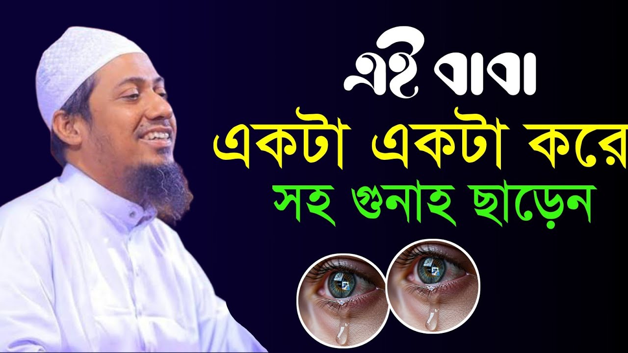 একটা একটা করে গুনা ছাড়েন, (আনিসুর রহমান আশরাফী)