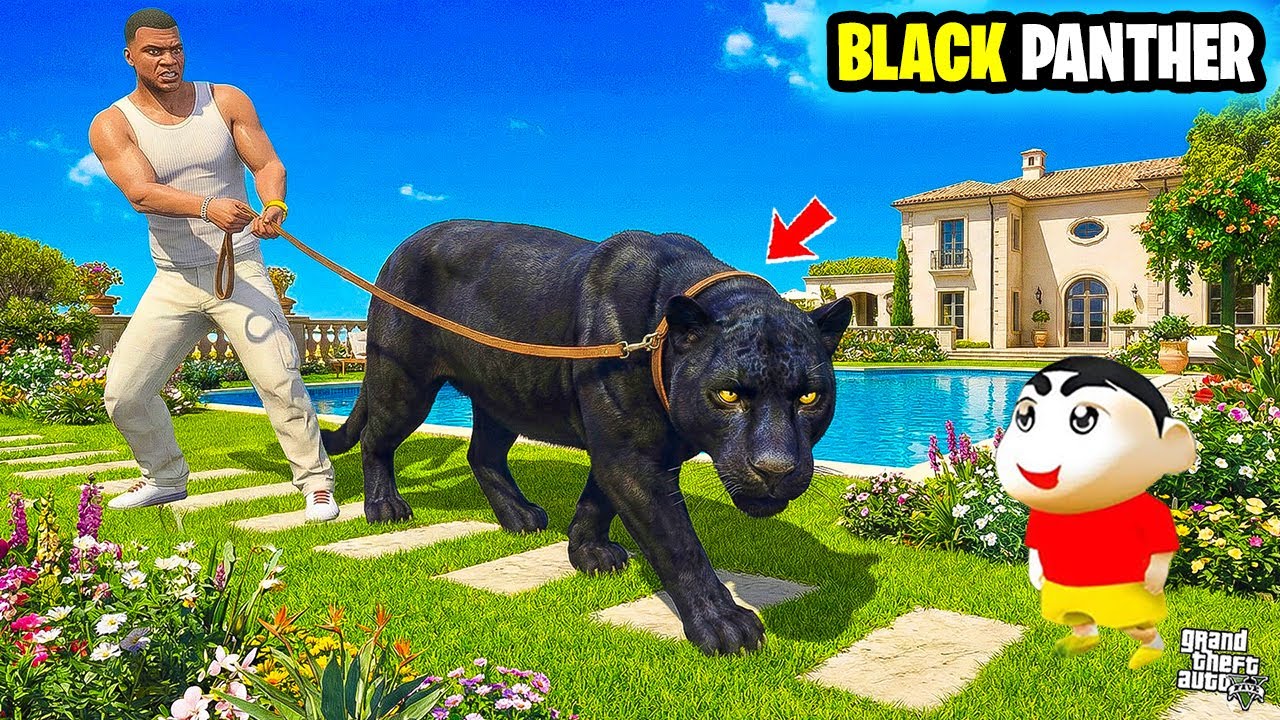Franklin & Shinchan Finally Bring MAJESTIC BLACK PANTHER to Home | Most Shocking Life Story