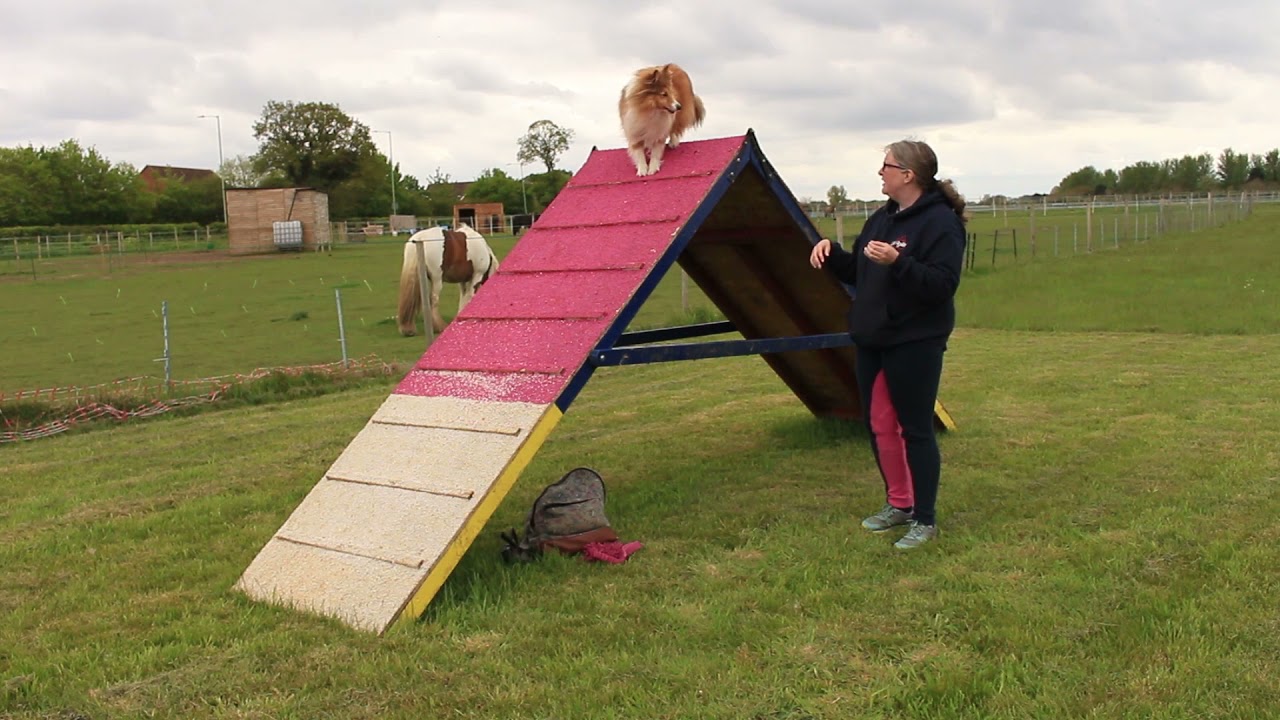A-Z Agility: A Frame Safety