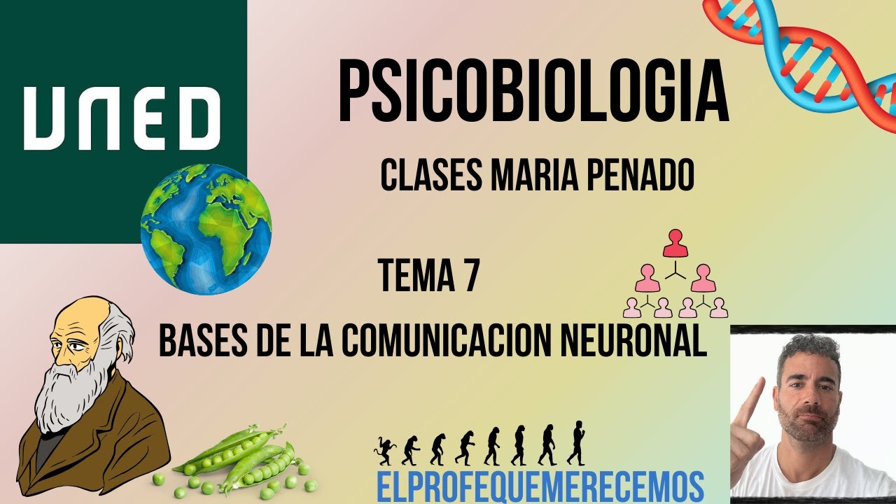 Psicobiologia UNED: TEMA 7 (Maria Penado)