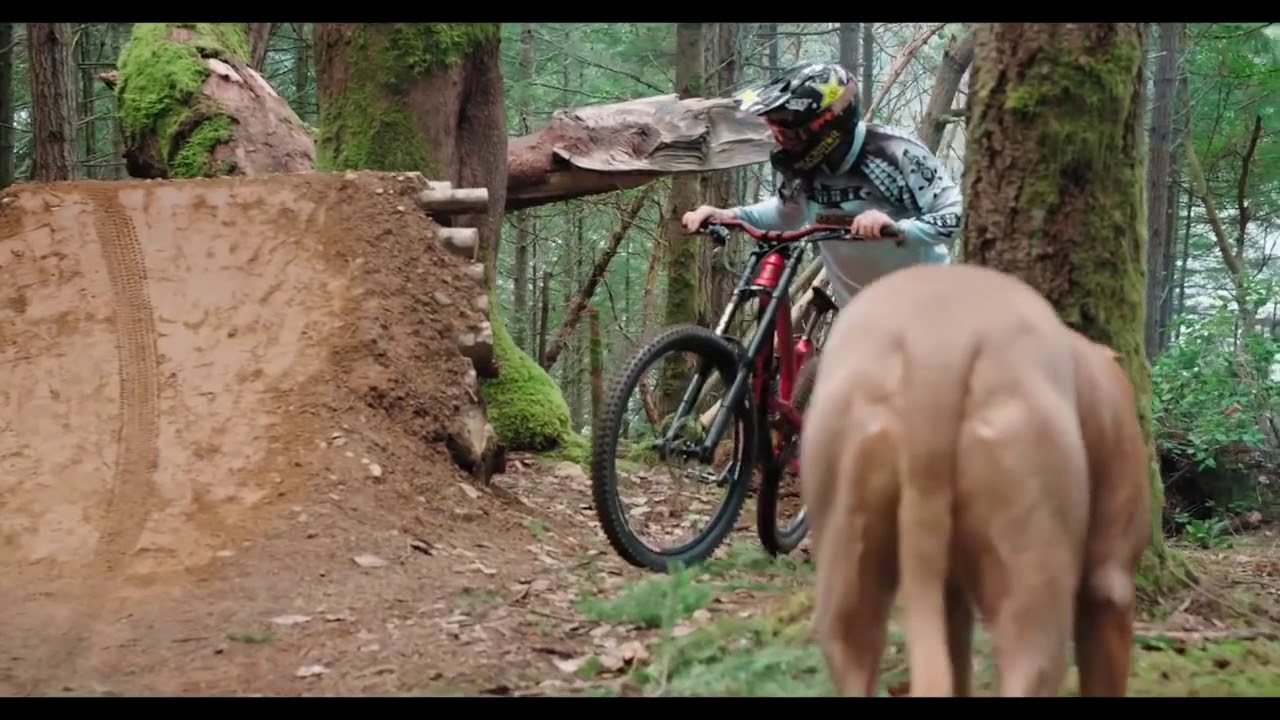The Best Downhill MTB Motivation  2022