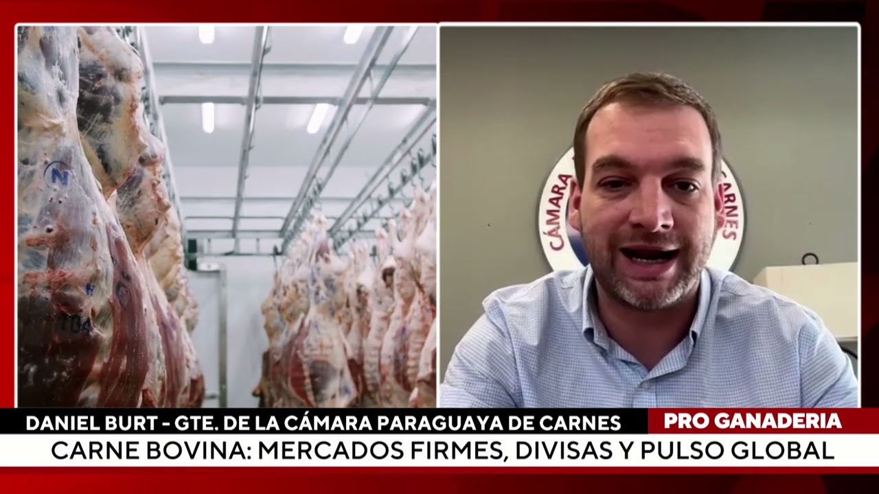 Carne paraguaya: integrada y tomadora de precios