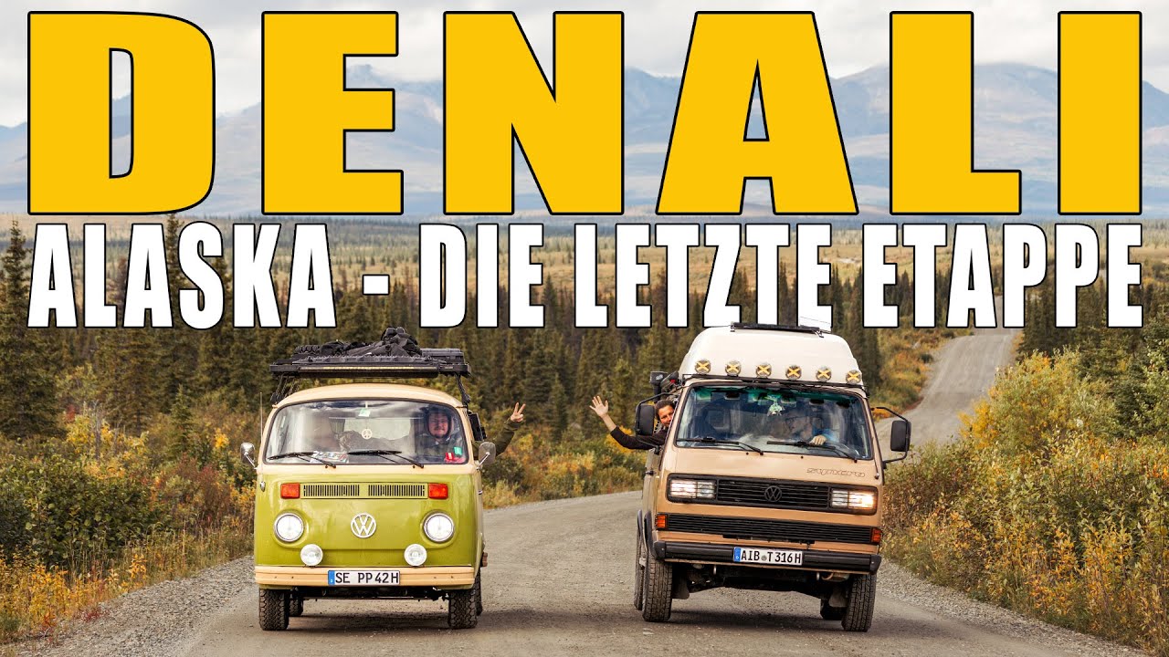 Grizzlies im DENALI Nationalpark, ALASKA + Mit T2 & T3 Syncro den alten Denali Highway fahren ⎜#33