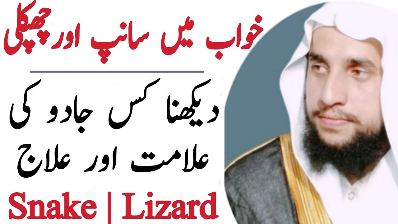 How is Look Snake and lizard in the Dream | Khawab ma Samap or Chapklai Nazr ana | Black Magic | QRI