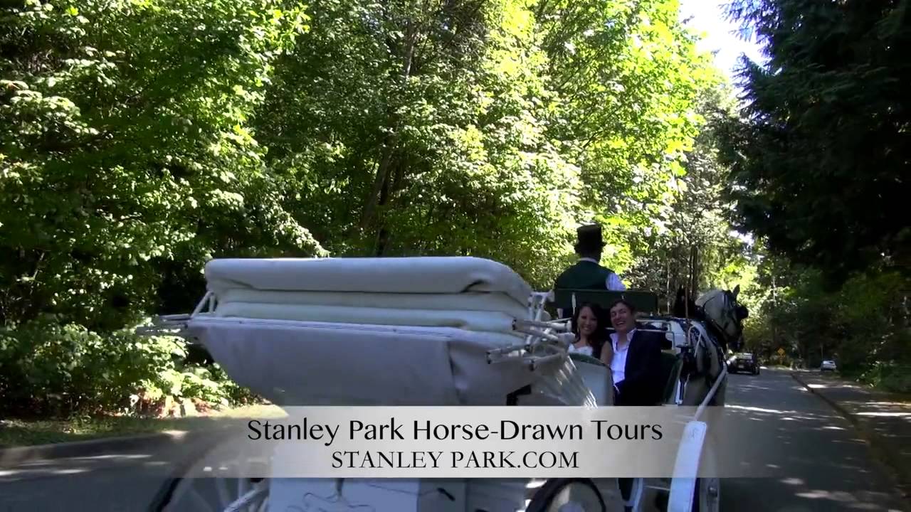 The Teahouse in Stanley Park Wedding HD