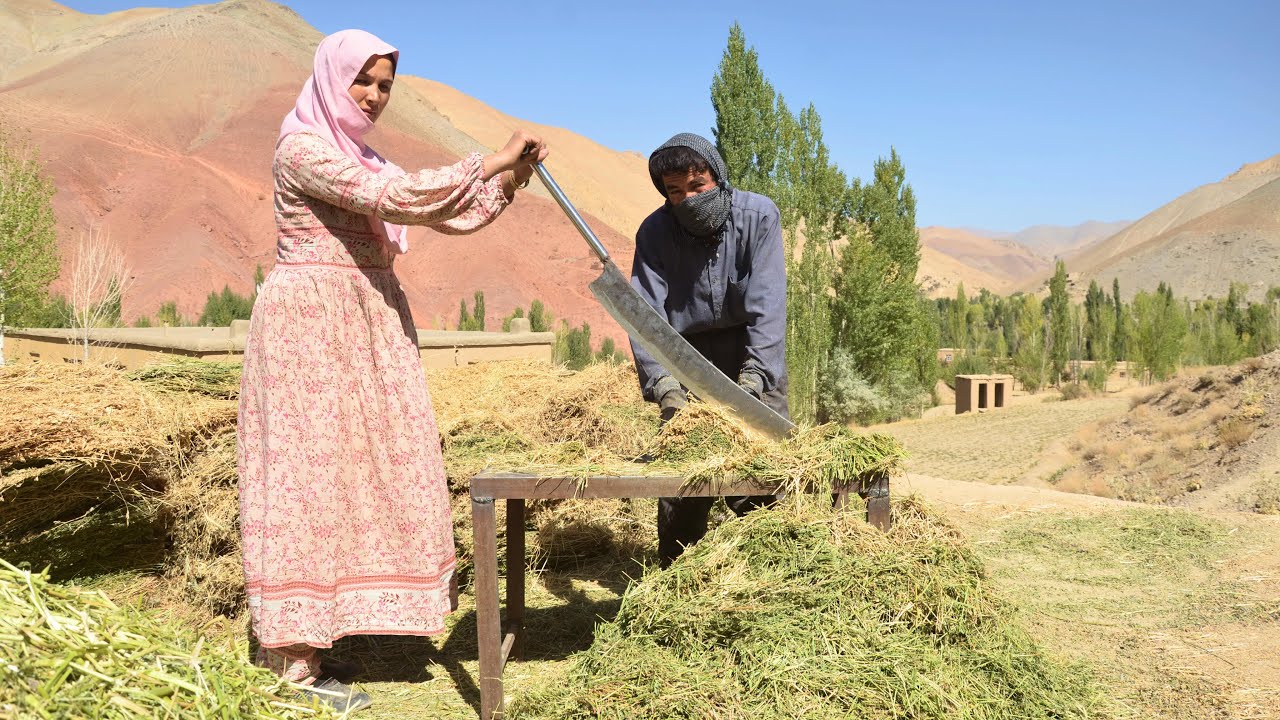 Our Village Family Routine | Preparing for Winter in the Countryside