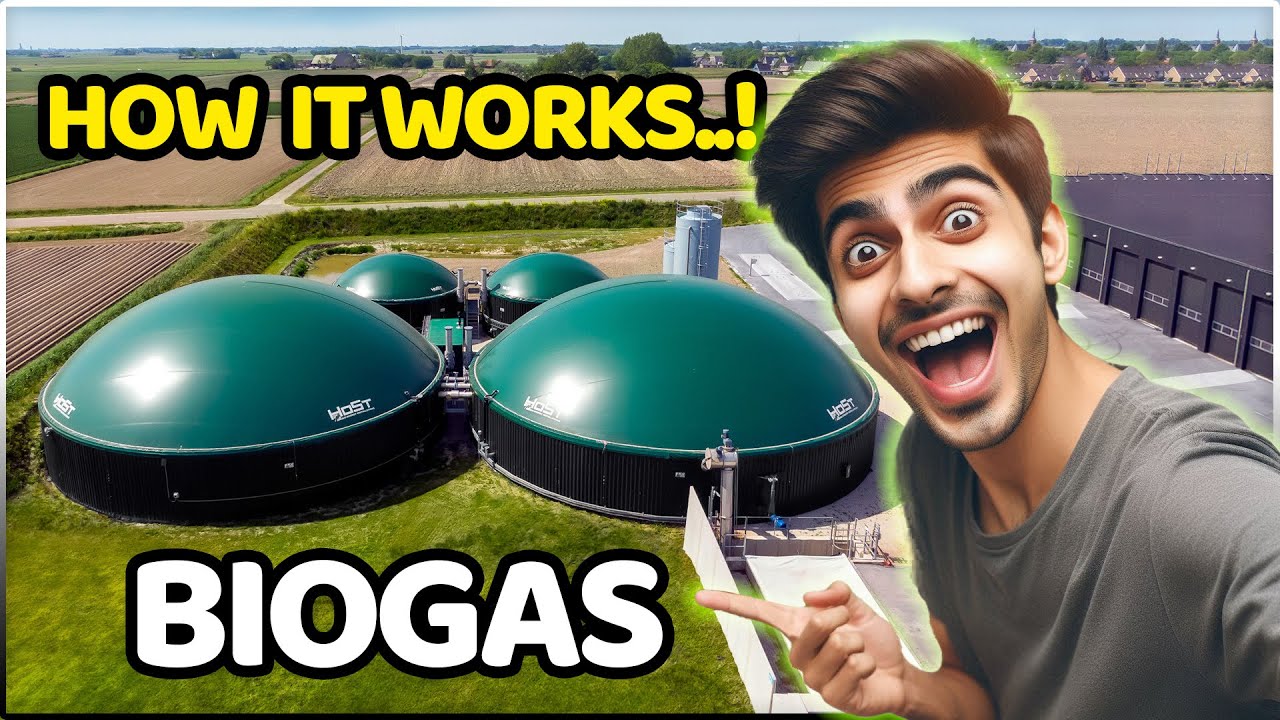 Как работает биогазовая установка? | EnviTec Biogas