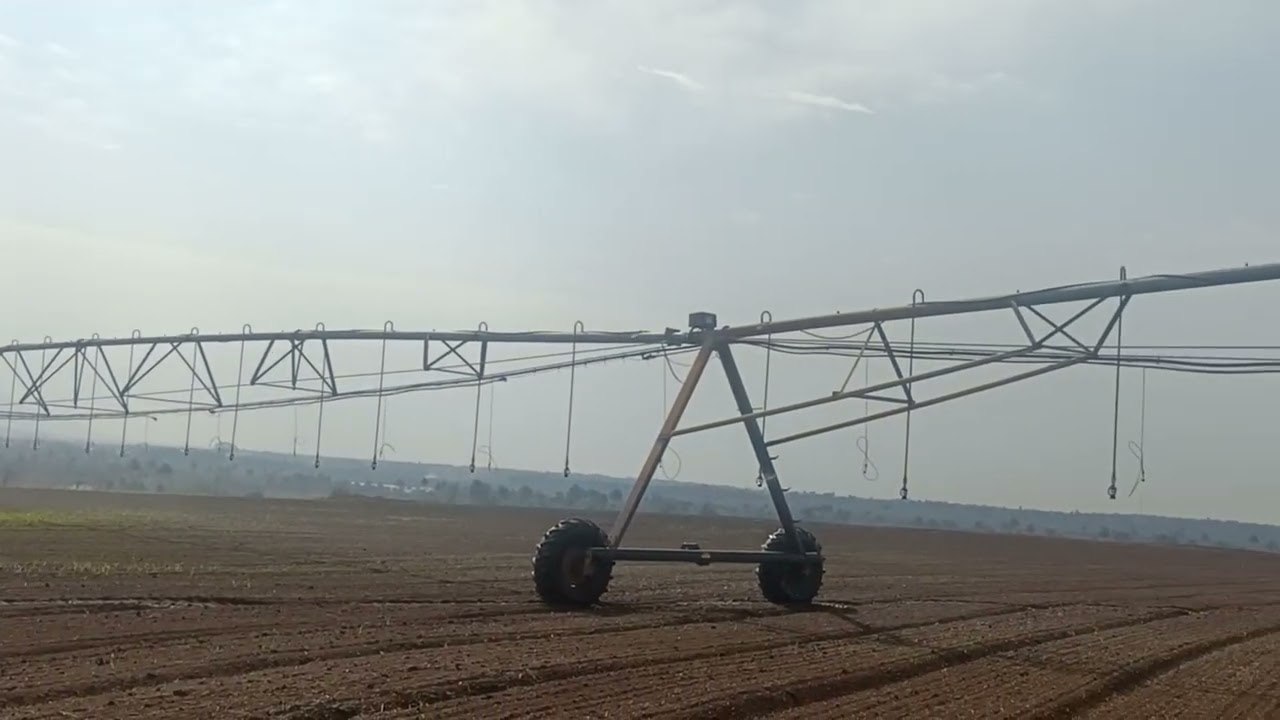 Day 50 Maize & Onion Spraying Update | Germination Check After P4 | Farm Irrigation Work