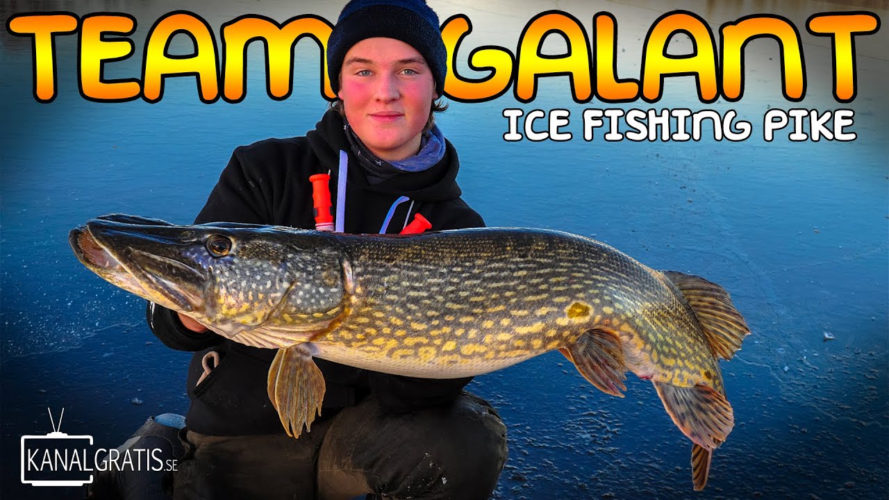 Big Pike on the Ice | Team Galant