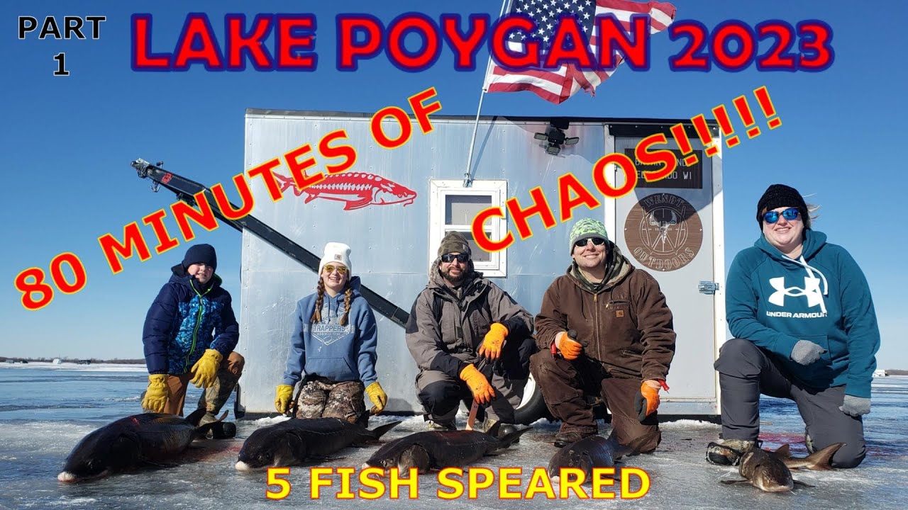 STURGEON SPEARING LAKE POYGAN 2023| VIDEO OF ALL 5 FISH BEING SPEARED!!