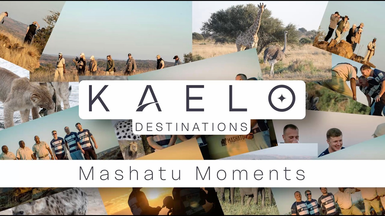 RUGBY PLAYERS ON SAFARI! Bears trio reflect on once-in-a-lifetime Mashatu trip