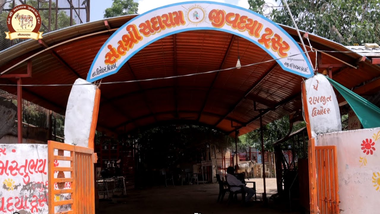 સંત શ્રી સદારામ જીવદયા ટ્રસ્ટ ભેસાણા   ગૌ શાળા નો ઇતિહાસ//pankho ono kalrav//