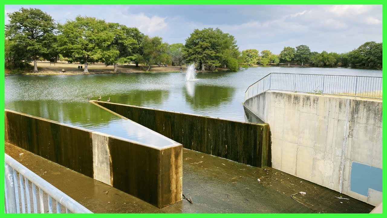 This City Pond Gets Stocked With Catfish