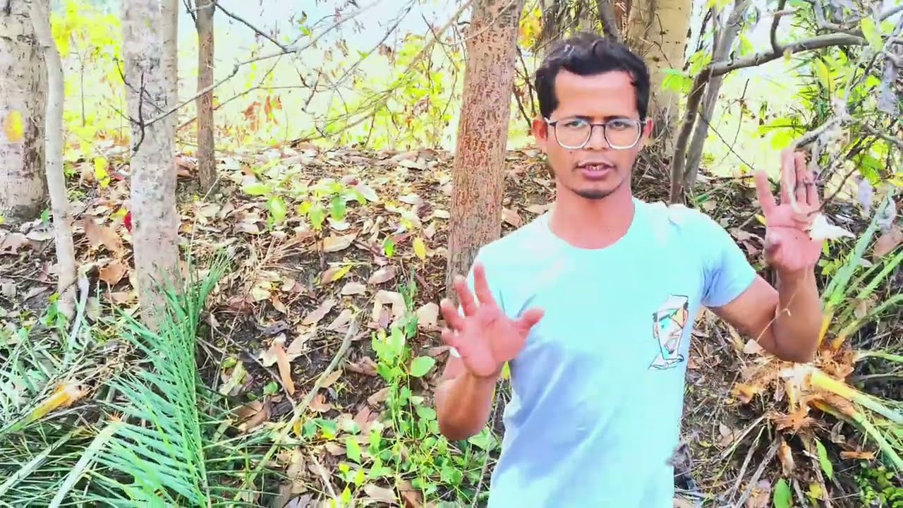 Amazing Village Life: खजूर का कांदा (Palm Heart) कैसे निकाला जाता है ?