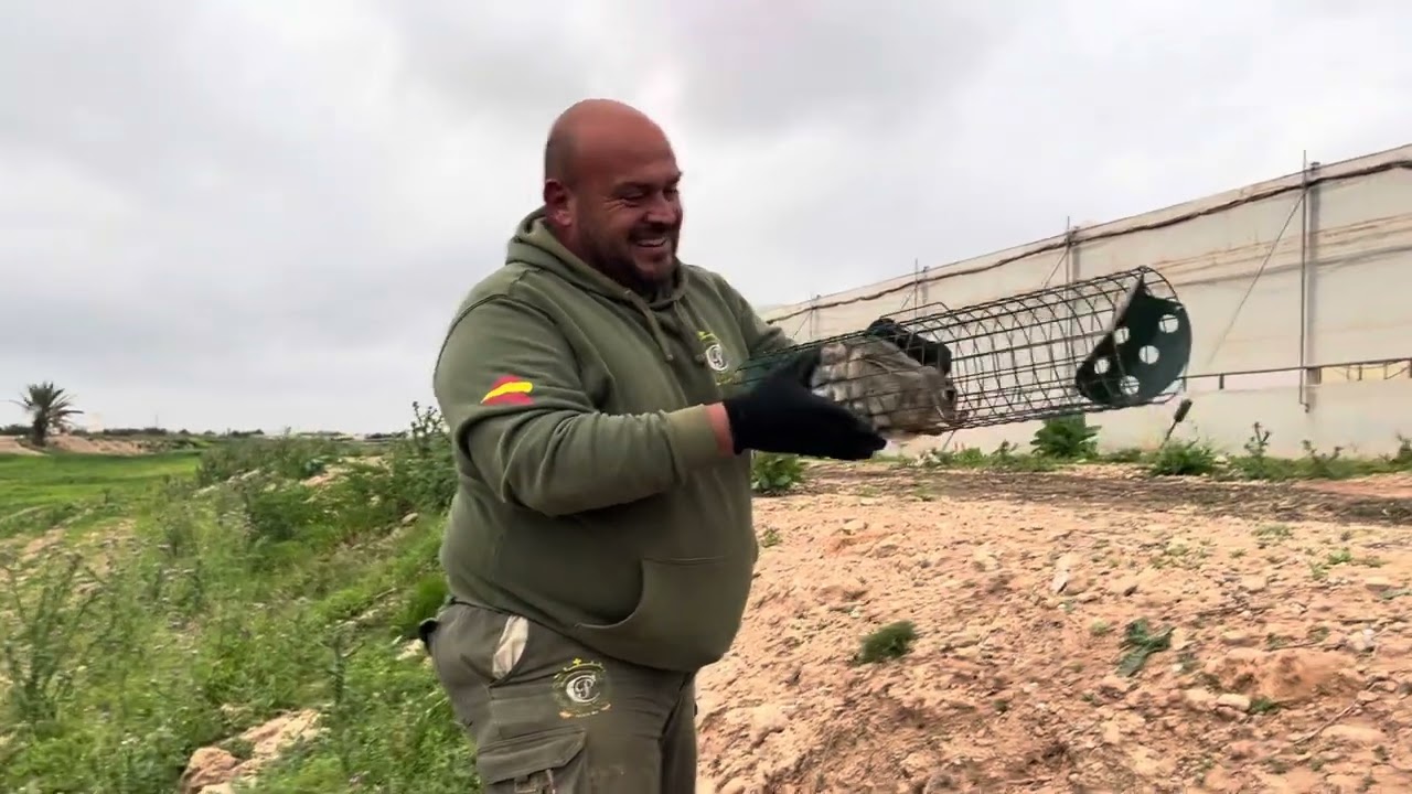Camperos que pas&eacute;is un Feliz Viernes.Vamos a darle vuelta a las jaulas que mont&oacute; ayer El Pencho👍😘❤️
