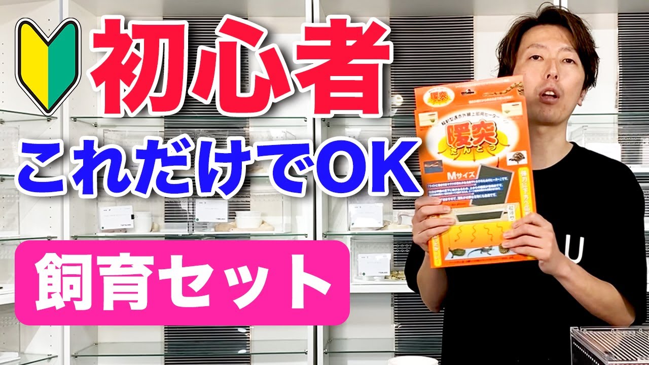【初心者はこれ！】ボールパイソン飼育セット｜迷ったらこれ揃えればOKです