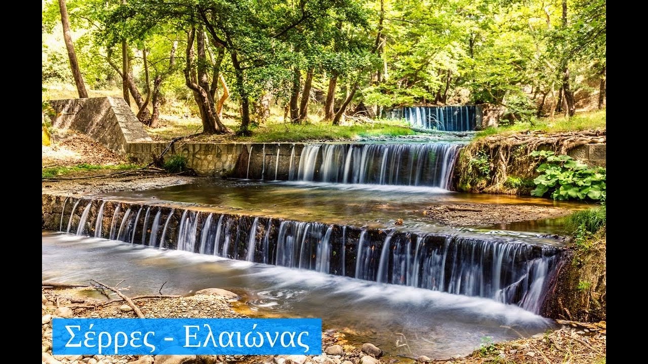 Σέρρες - Ελαιώνας
