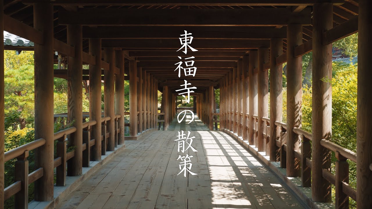 東福寺の散策 : Walking Around Tōfuku-ji Temple（Kyoto, Japan）