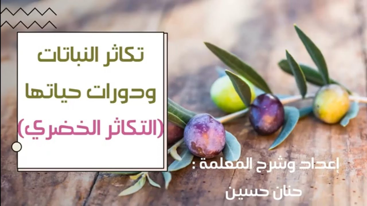 الصف الرابع: تكاثر النباتات ودورات حياتها 