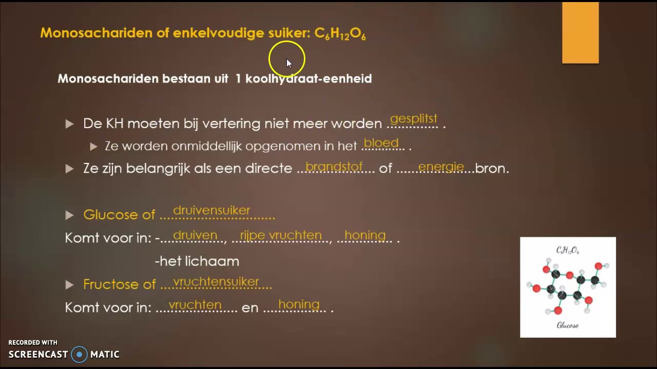 Voedingsleer: Koolhydraten