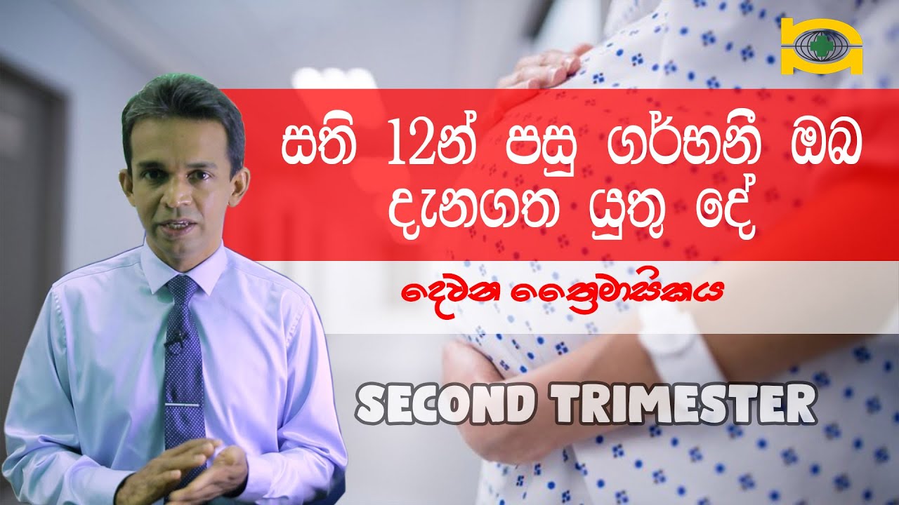 සති 12න් පසු ගර්භනී ඔබ දැනගතයුතු දේ...දෙවන ත්‍රෙෙමාසිකය.