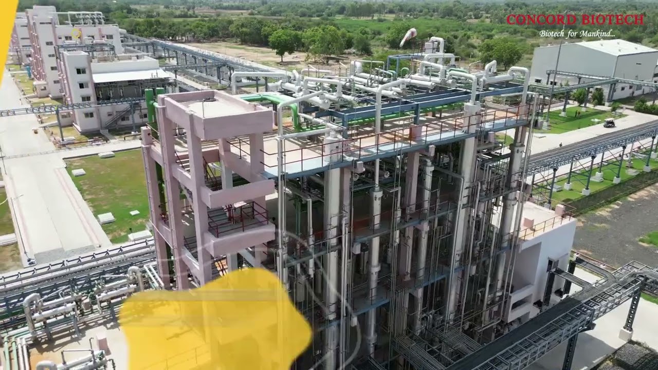 API manufacturing facility - Limbasi