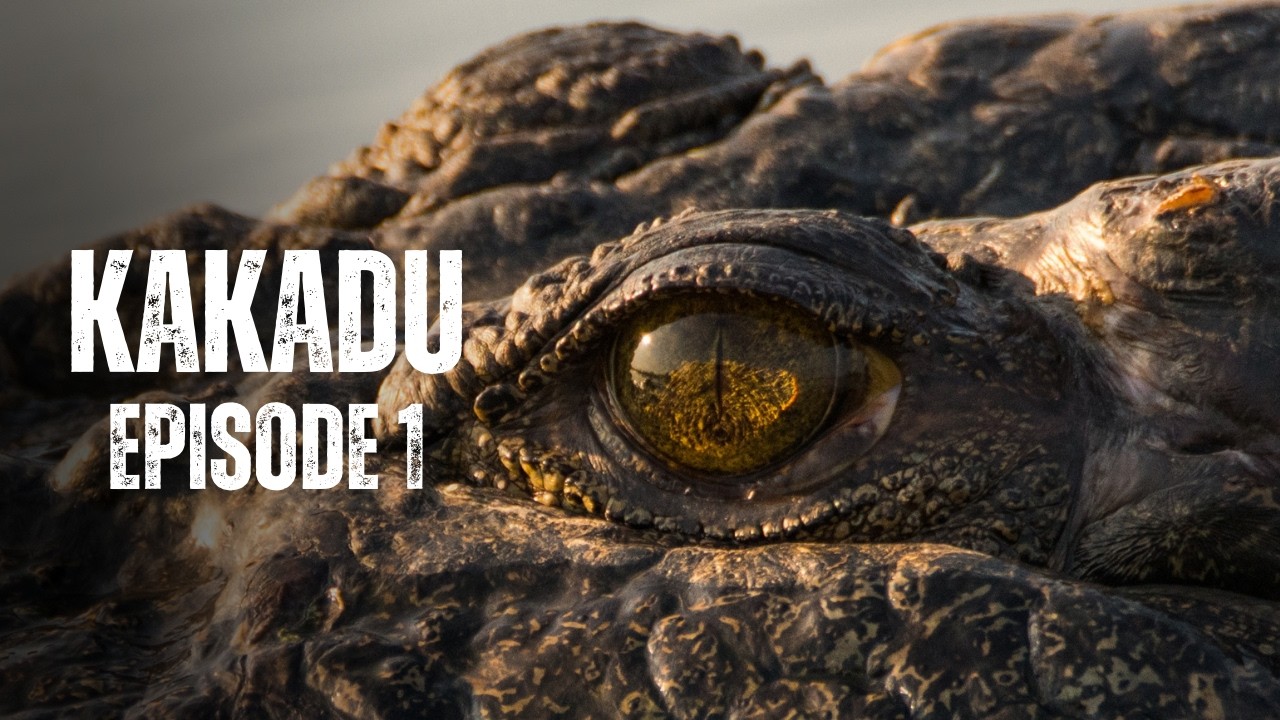 KAKADU | FULL EPISODE 