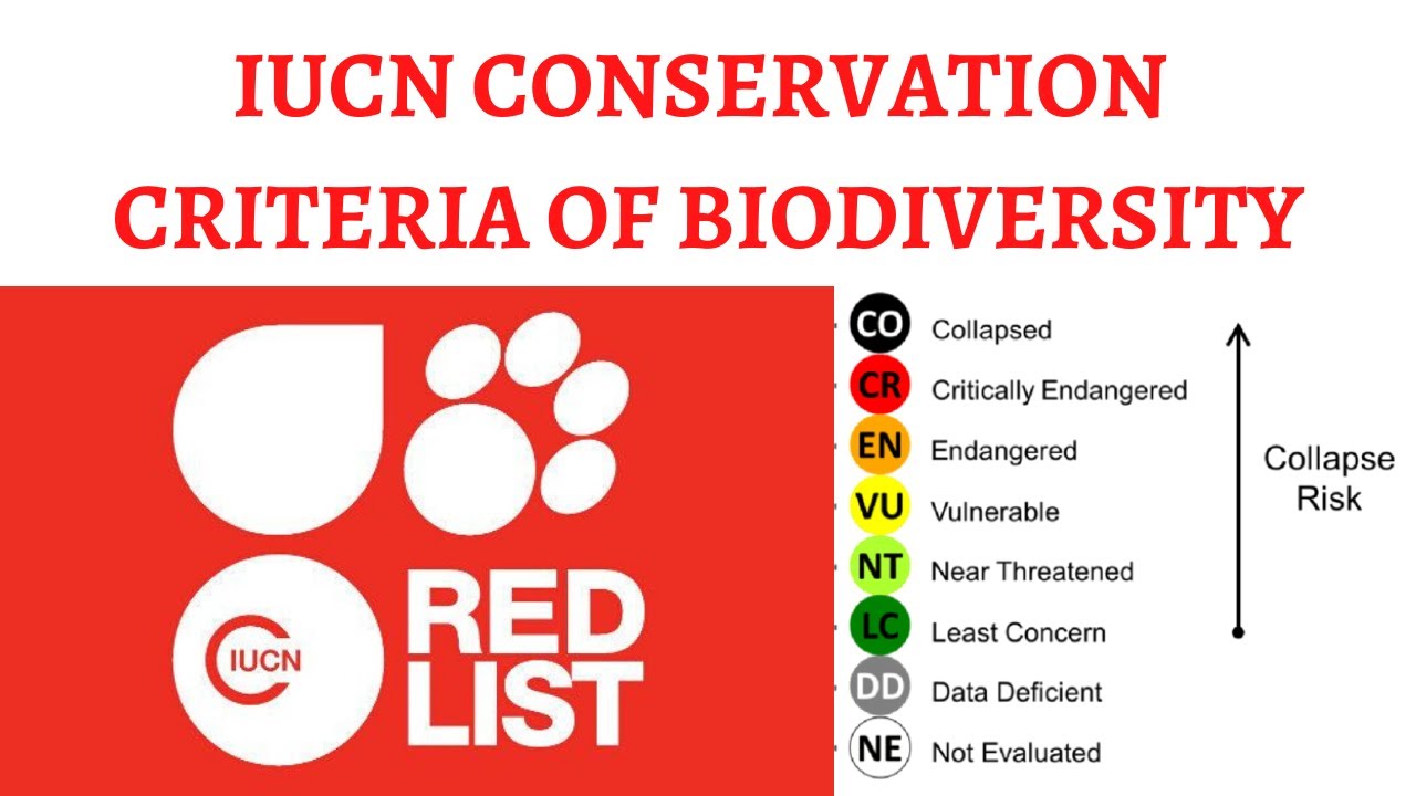IUCN Red List of Threatened Species & Classification (Extinct, Vulnerable, Endangered etc.)