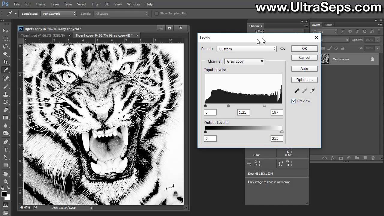 Screen Print Photo Using White Ink Only