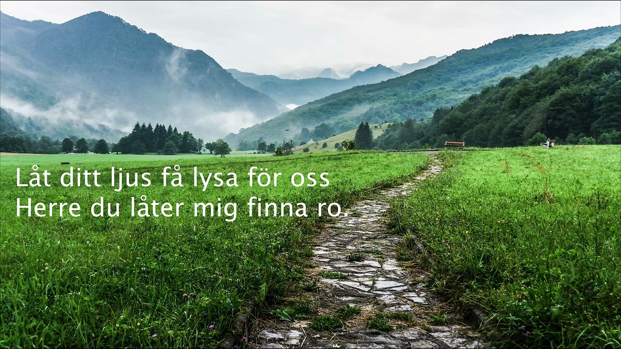 Du öppnar vägen