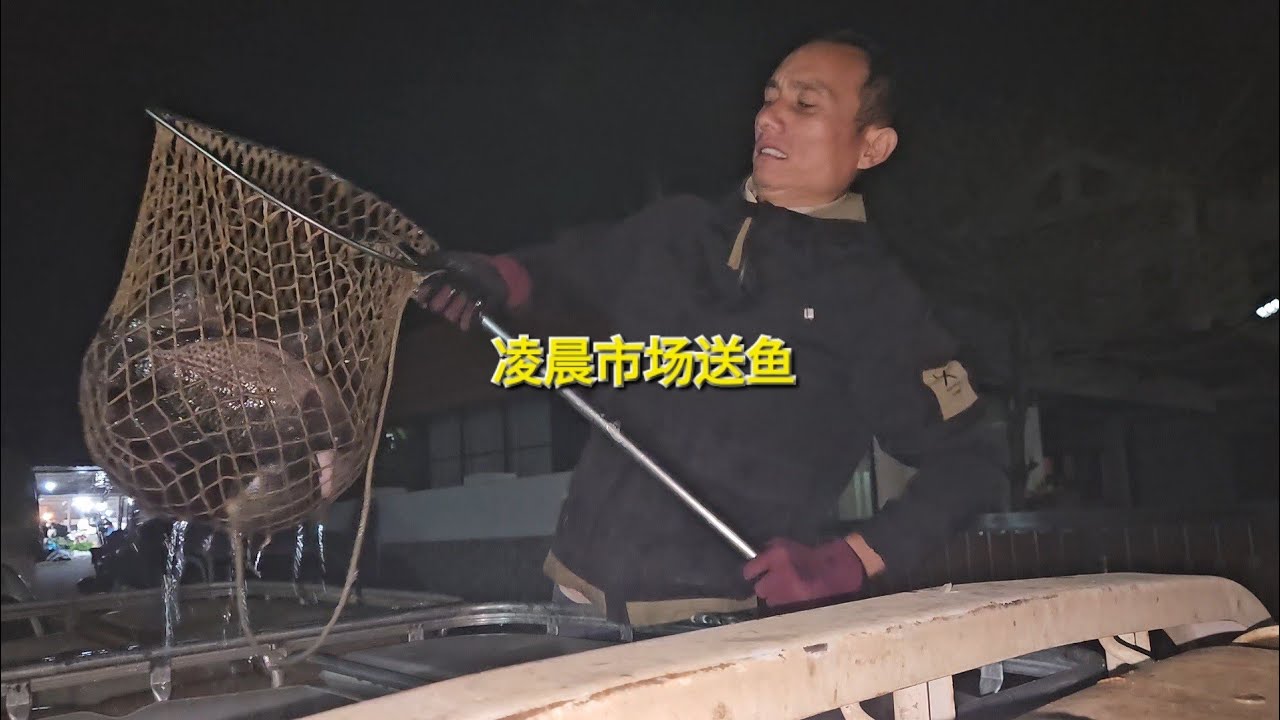 凌晨在市场送鱼，没饭吃了去买米