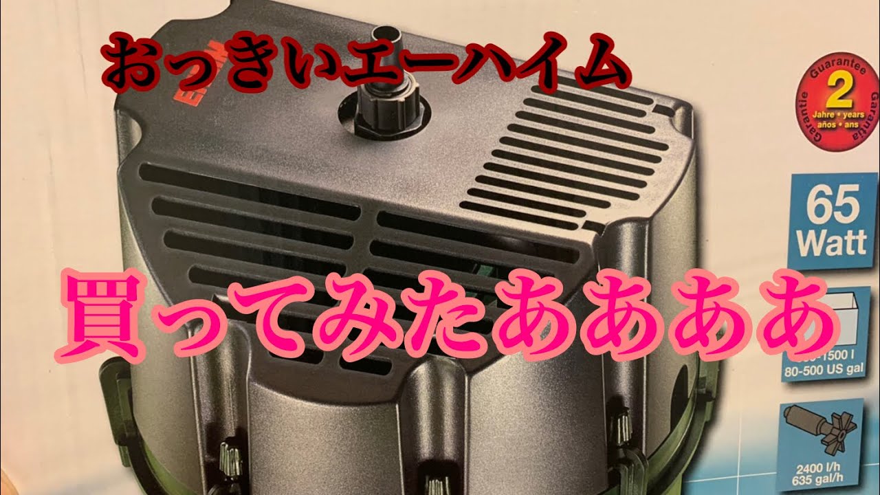 エーハイム2260設置したった！！ついでに混泳も